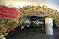 IMG_1070